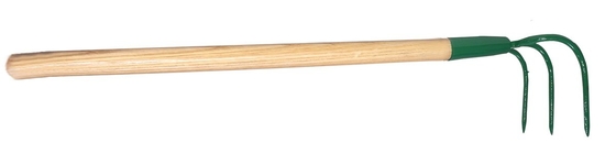 Name