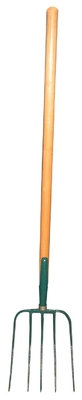 Name