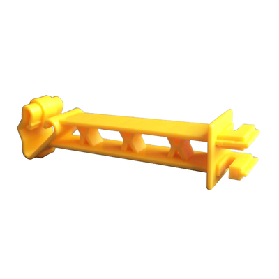 Name